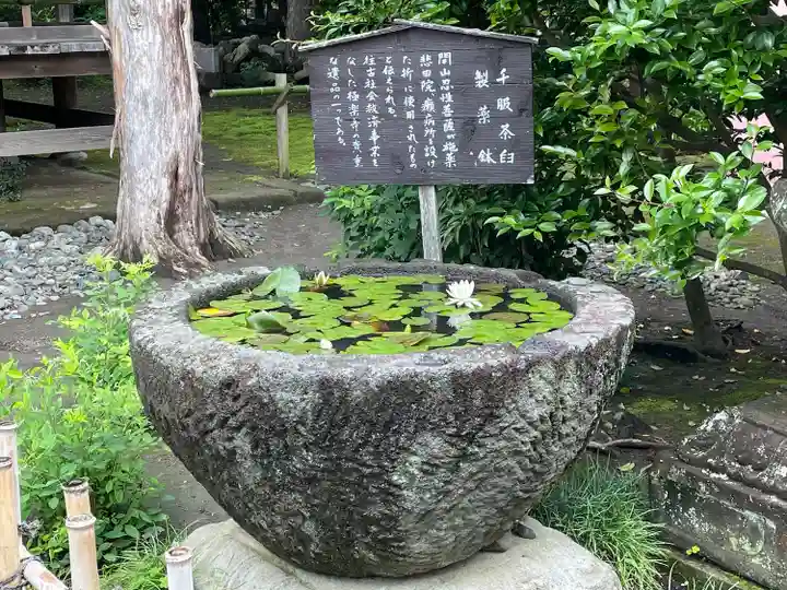 極楽寺(霊鷲山感應院極楽律寺)のその他建物