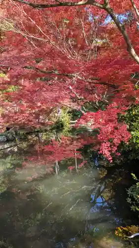 くろ谷 金戒光明寺(京都府)