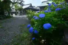 本郷氷川神社(東京都)