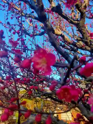 結城神社(三重県)