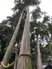 豊川閣　妙厳寺の自然