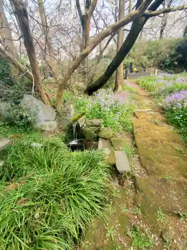 珊瑚寺(群馬県)