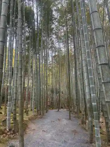 圓光寺の{uncategorized: "未分類", other: "その他", undefined: "問題あり", building: "その他建物", grave: "お墓", sacred_gate: "鳥居", guardian: "狛犬", statue: "像", buddha: "仏像", history: "歴史", nature: "自然", garden: "庭園", animal: "動物", pagoda: "塔", temizu: "手水舎", mountain_gate: "山門・神門", sanctuary: "本殿・本堂", subordinate: "末社・摂社", art: "芸術", scenery: "景色", jizo: "地蔵", ema: "絵馬", goshuin: "御朱印", omikuji: "おみくじ", items: "授与品その他", amulet: "お守り", goshuincho: "御朱印帳", eats: "食事", festival: "お祭り", votive_dance: "神楽", shichigosan: "七五三参", wedding: "結婚式", experience: "体験その他", initially: "初詣", around: "周辺", anti_infection: "感染症対策"}
