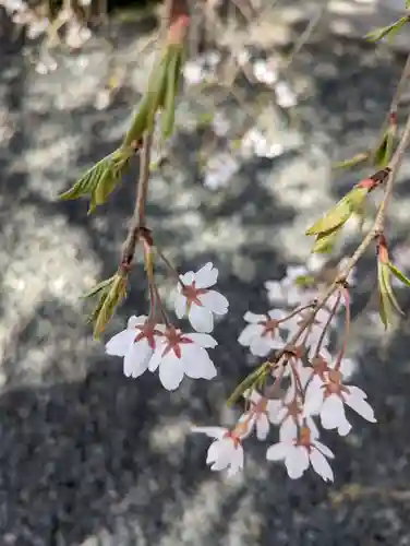 身照寺(岩手県)