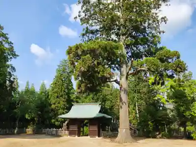 稲荷神社の山門・神門