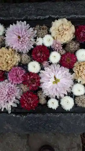 行田八幡神社の手水