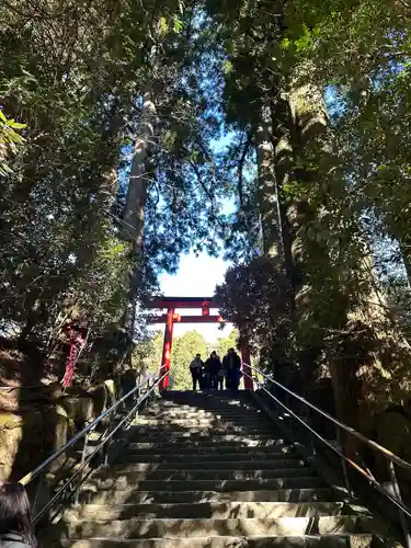 箱根神社(神奈川県)