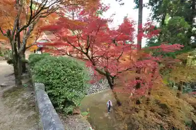 西山興隆寺の自然