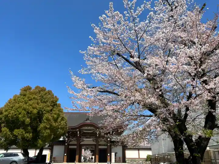 真宗大谷派名古屋別院(愛知県)
