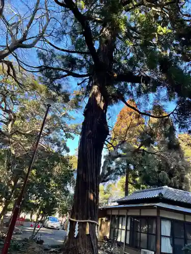 息栖神社の自然