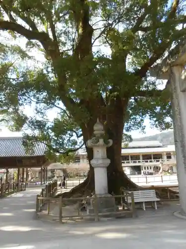 太宰府天満宮(福岡県)