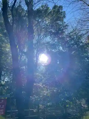 大國魂神社(東京都)