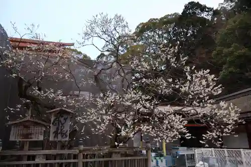 太宰府天満宮(福岡県)