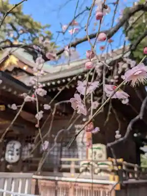 布多天神社(東京都)