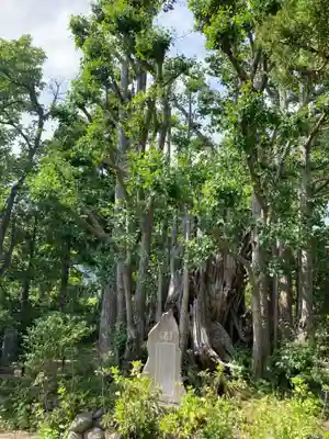 常楽寺(神奈川県)