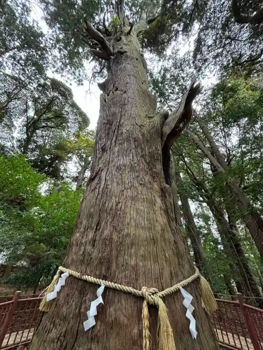 麻賀多神社の{uncategorized: "未分類", other: "その他", undefined: "問題あり", building: "その他建物", grave: "お墓", sacred_gate: "鳥居", guardian: "狛犬", statue: "像", buddha: "仏像", history: "歴史", nature: "自然", garden: "庭園", animal: "動物", pagoda: "塔", temizu: "手水舎", mountain_gate: "山門・神門", sanctuary: "本殿・本堂", subordinate: "末社・摂社", art: "芸術", scenery: "景色", jizo: "地蔵", ema: "絵馬", goshuin: "御朱印", omikuji: "おみくじ", items: "授与品その他", amulet: "お守り", goshuincho: "御朱印帳", eats: "食事", festival: "お祭り", votive_dance: "神楽", shichigosan: "七五三参", wedding: "結婚式", experience: "体験その他", initially: "初詣", around: "周辺", anti_infection: "感染症対策"}