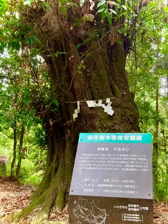 熊野神社の自然