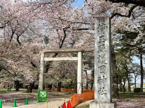 埼玉縣護國神社の鳥居