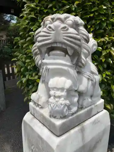 大山阿夫利神社御分霊社の狛犬