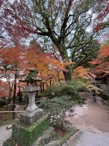仁比山神社(佐賀県)