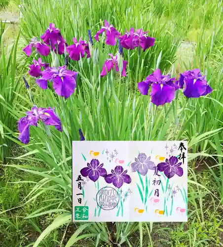 大宮・大原神社の御朱印