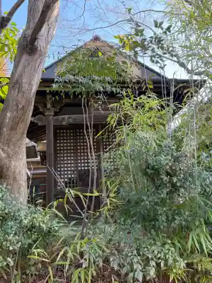金蓮寺の{uncategorized: "未分類", other: "その他", undefined: "問題あり", building: "その他建物", grave: "お墓", sacred_gate: "鳥居", guardian: "狛犬", statue: "像", buddha: "仏像", history: "歴史", nature: "自然", garden: "庭園", animal: "動物", pagoda: "塔", temizu: "手水舎", mountain_gate: "山門・神門", sanctuary: "本殿・本堂", subordinate: "末社・摂社", art: "芸術", scenery: "景色", jizo: "地蔵", ema: "絵馬", goshuin: "御朱印", omikuji: "おみくじ", items: "授与品その他", amulet: "お守り", goshuincho: "御朱印帳", eats: "食事", festival: "お祭り", votive_dance: "神楽", shichigosan: "七五三参", wedding: "結婚式", experience: "体験その他", initially: "初詣", around: "周辺", anti_infection: "感染症対策"}