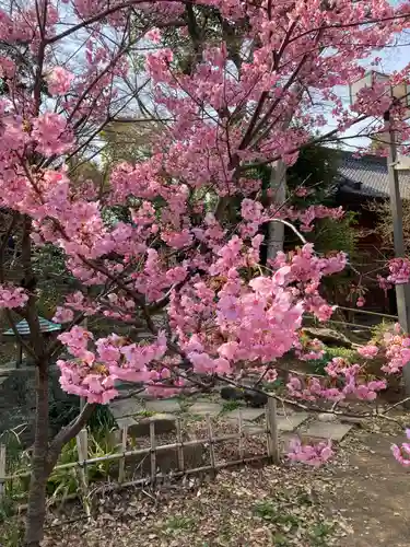弘法寺(千葉県)
