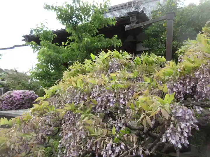 経王寺(東京都)