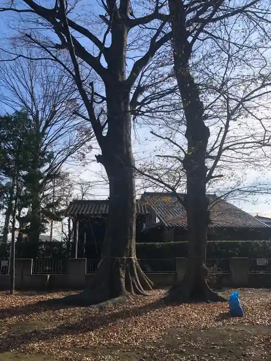 今城青坂稲実池上神社の自然