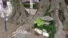 八枝神社(埼玉県)