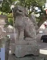 津田八幡神社の狛犬