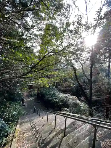 柞原八幡宮の{uncategorized: "未分類", other: "その他", undefined: "問題あり", building: "その他建物", grave: "お墓", sacred_gate: "鳥居", guardian: "狛犬", statue: "像", buddha: "仏像", history: "歴史", nature: "自然", garden: "庭園", animal: "動物", pagoda: "塔", temizu: "手水舎", mountain_gate: "山門・神門", sanctuary: "本殿・本堂", subordinate: "末社・摂社", art: "芸術", scenery: "景色", jizo: "地蔵", ema: "絵馬", goshuin: "御朱印", omikuji: "おみくじ", items: "授与品その他", amulet: "お守り", goshuincho: "御朱印帳", eats: "食事", festival: "お祭り", votive_dance: "神楽", shichigosan: "七五三参", wedding: "結婚式", experience: "体験その他", initially: "初詣", around: "周辺", anti_infection: "感染症対策"}