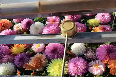 豊景神社の手水舎