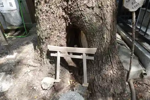 彌榮神社の鳥居