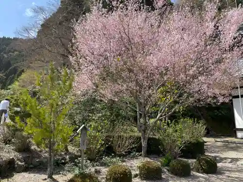 善峯寺(京都府)