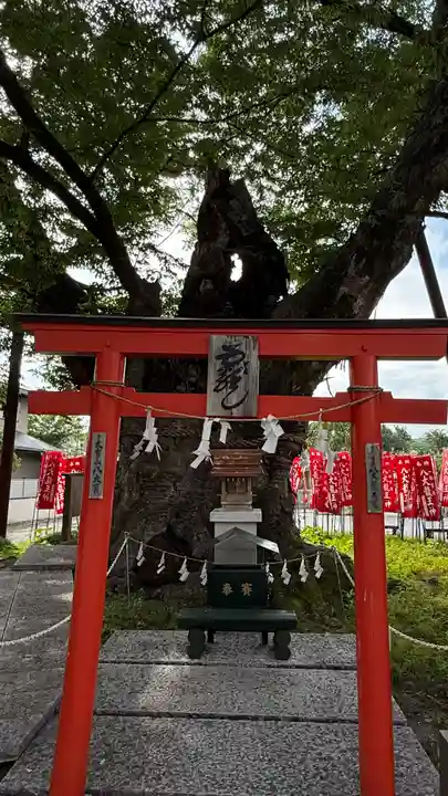 秩父今宮神社(埼玉県)