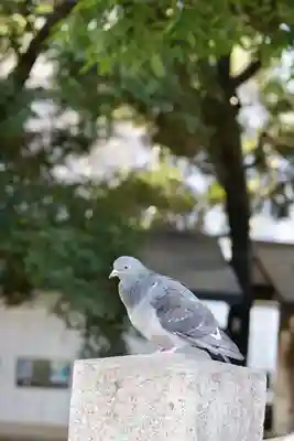 金王八幡宮(東京都)