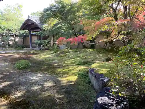 清凉寺の庭園
