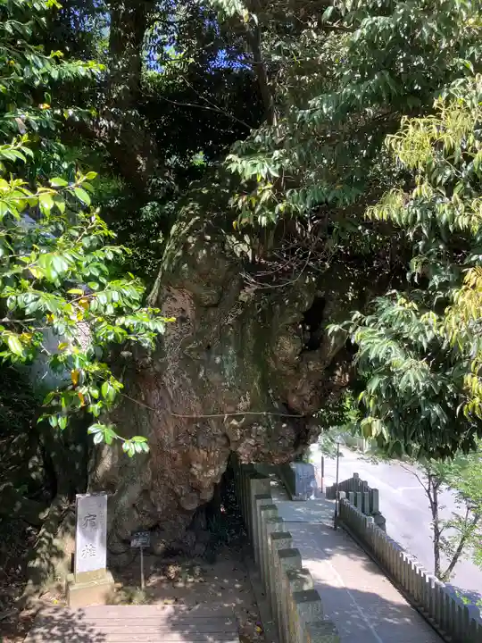 楽法寺(雨引観音)(茨城県)