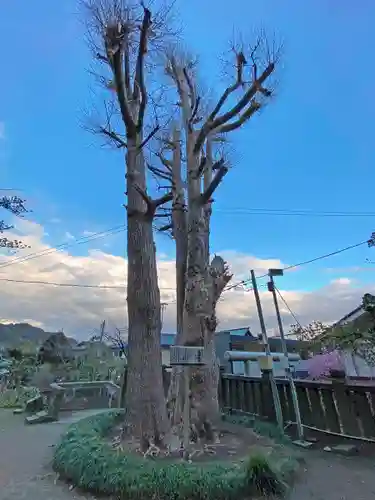 御霊神社の自然