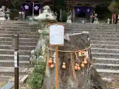 海津天神社の建物その他