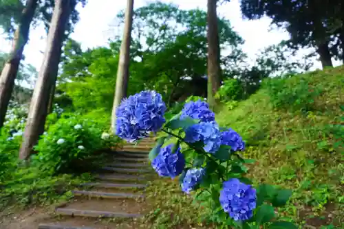 楽法寺（雨引観音）の自然