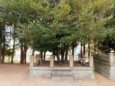 熊野神社の自然