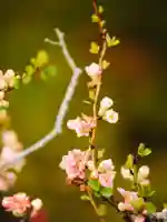 浄土寺(兵庫県)