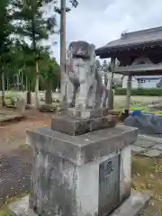 八坂神社の狛犬