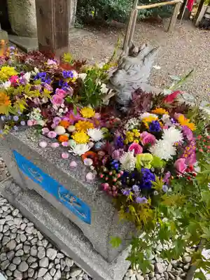 滑川神社 - 仕事と子どもの守り神の手水舎