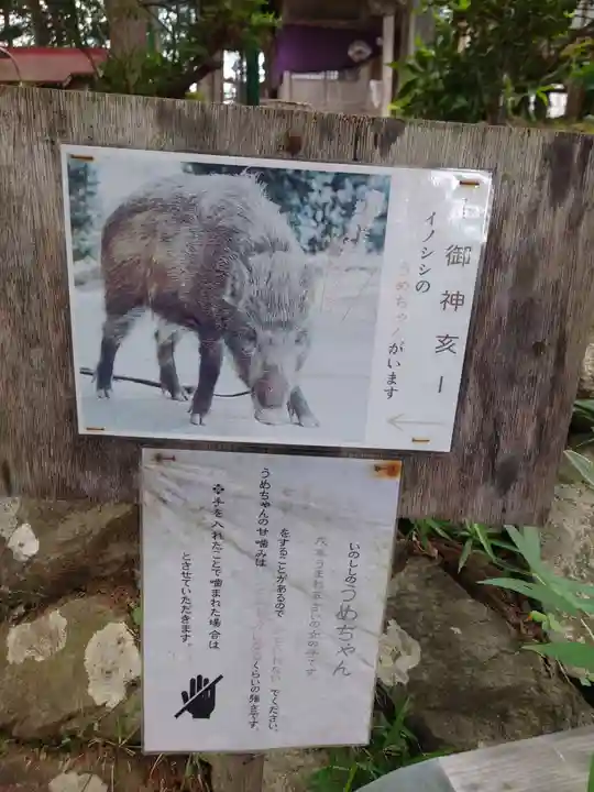 坪沼八幡神社(宮城県)