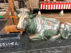 柳津虚空蔵尊 寳性院の狛犬