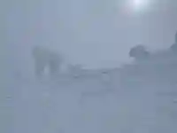 刈田嶺神社(奥宮)の{uncategorized: "未分類", other: "その他", undefined: "問題あり", building: "その他建物", grave: "お墓", sacred_gate: "鳥居", guardian: "狛犬", statue: "像", buddha: "仏像", history: "歴史", nature: "自然", garden: "庭園", animal: "動物", pagoda: "塔", temizu: "手水舎", mountain_gate: "山門・神門", sanctuary: "本殿・本堂", subordinate: "末社・摂社", art: "芸術", scenery: "景色", jizo: "地蔵", ema: "絵馬", goshuin: "御朱印", omikuji: "おみくじ", items: "授与品その他", amulet: "お守り", goshuincho: "御朱印帳", eats: "食事", festival: "お祭り", votive_dance: "神楽", shichigosan: "七五三参", wedding: "結婚式", experience: "体験その他", initially: "初詣", around: "周辺", anti_infection: "感染症対策"}