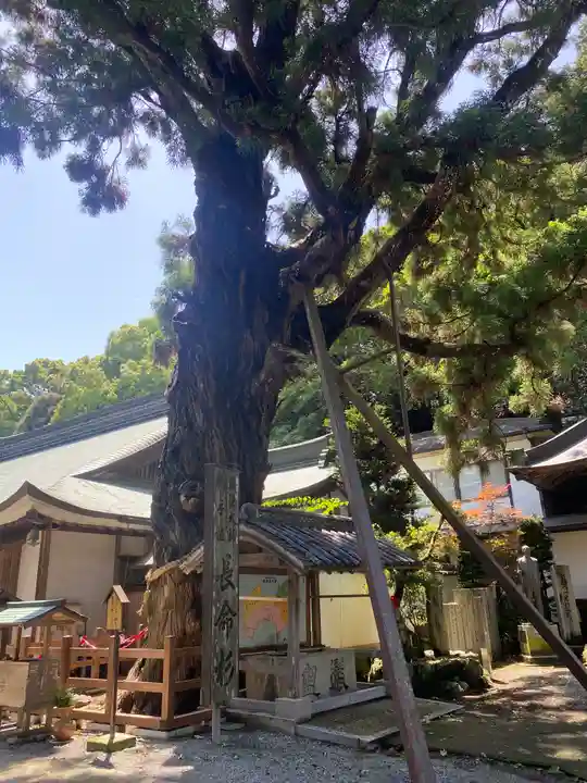 極楽寺(徳島県)